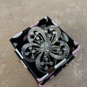 Beautiful Shiny Brooch